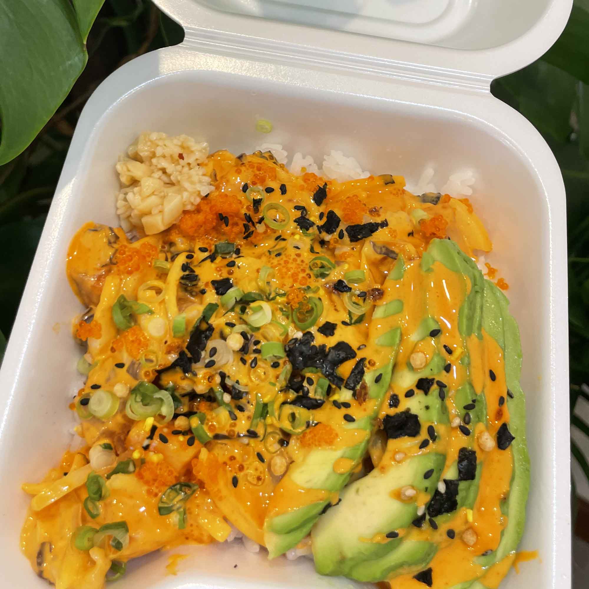 fishermans_poke_tuna-pict06