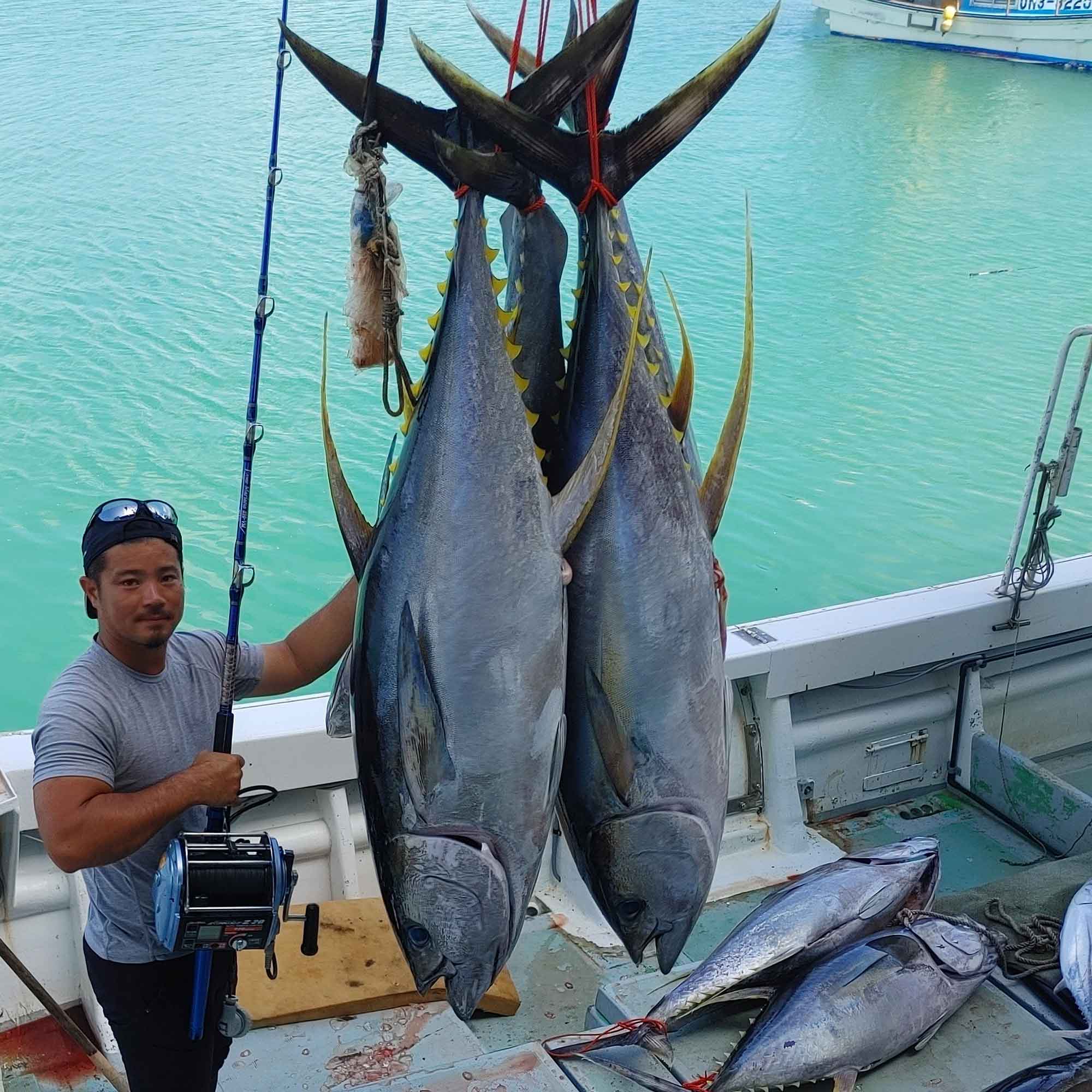 fishermans_poke_tuna-pict10
