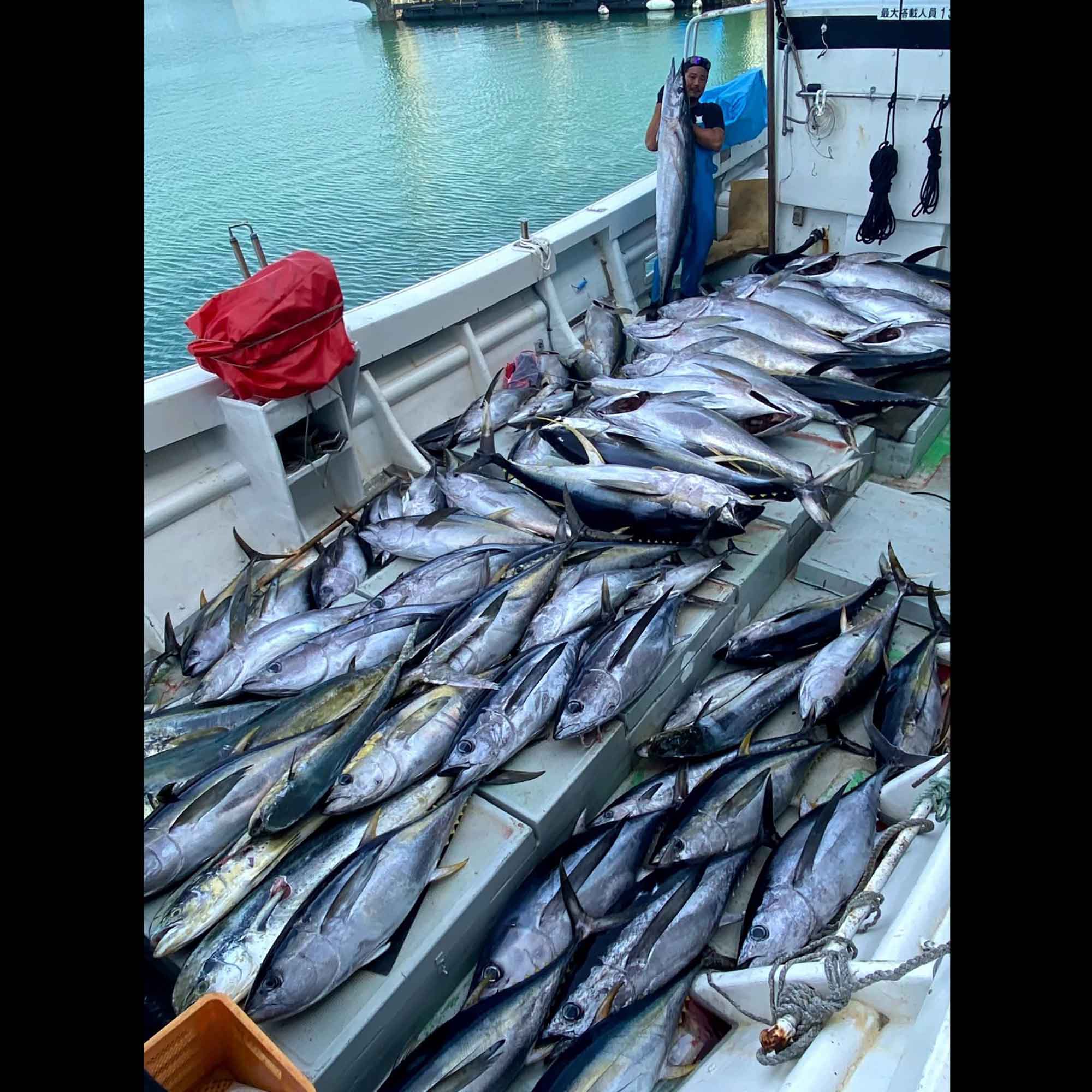 fishermans_poke_tuna-pict11