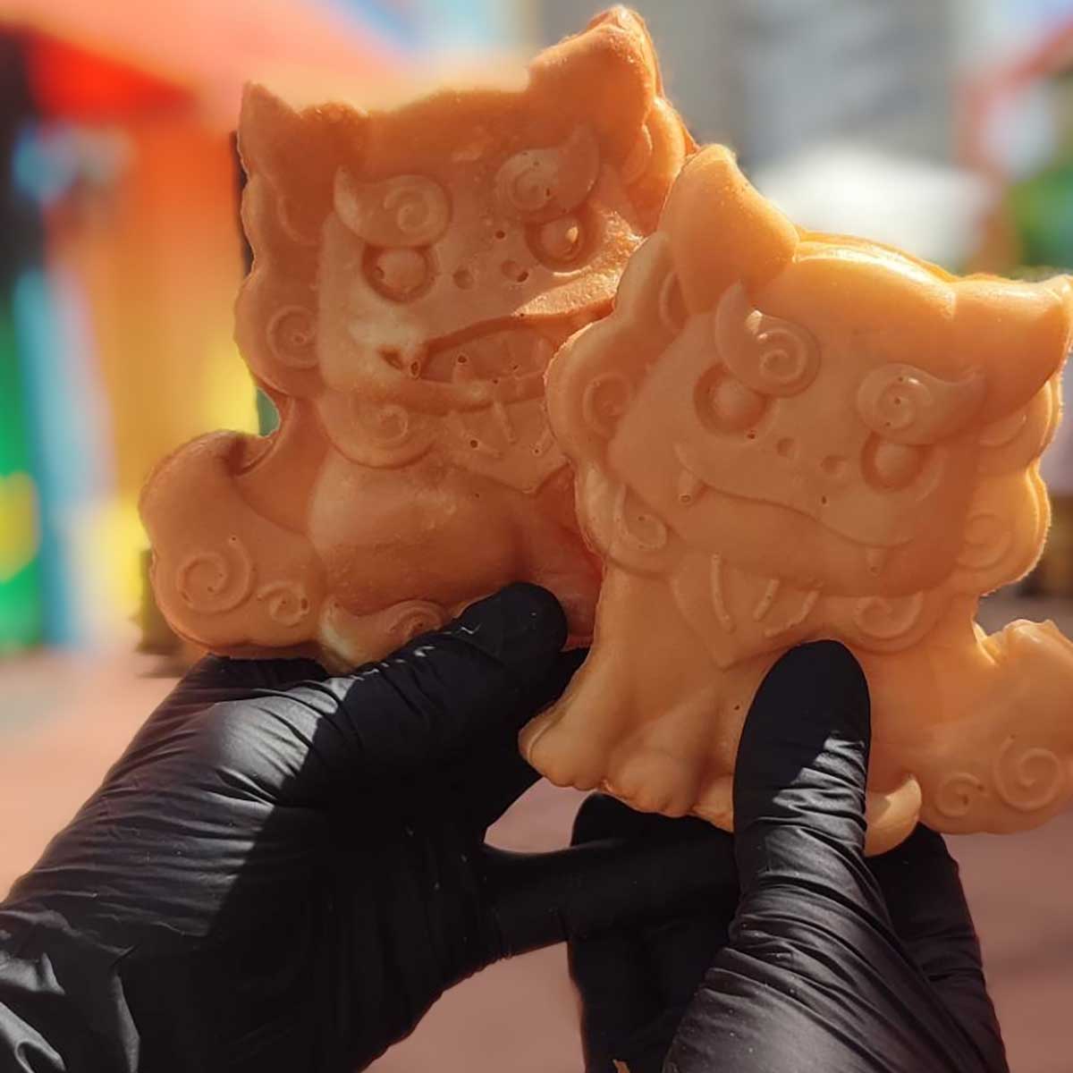 sisapan-marin-pict04