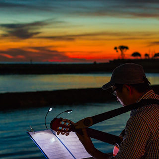 Sunset Artist